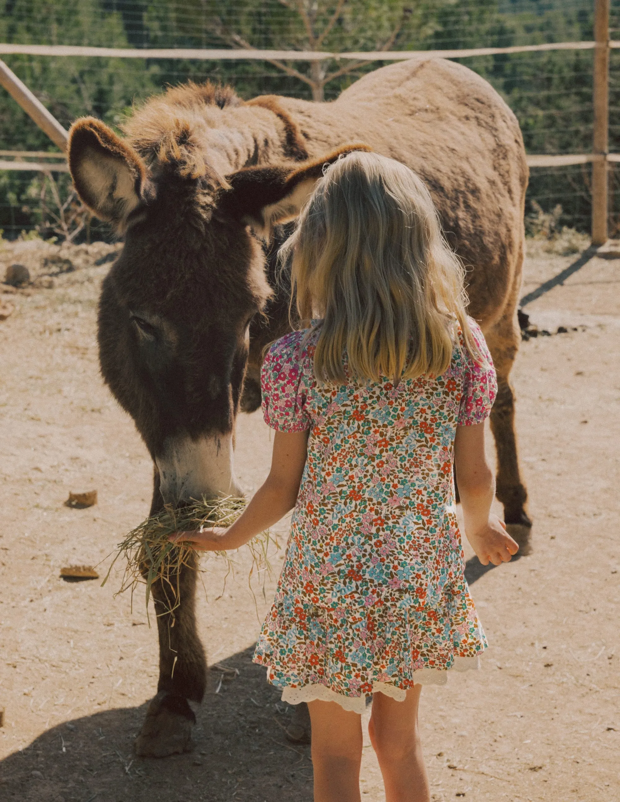 Fuzz Free Surface Smocked Frill Neck Blouse-Hotchpotch Floral