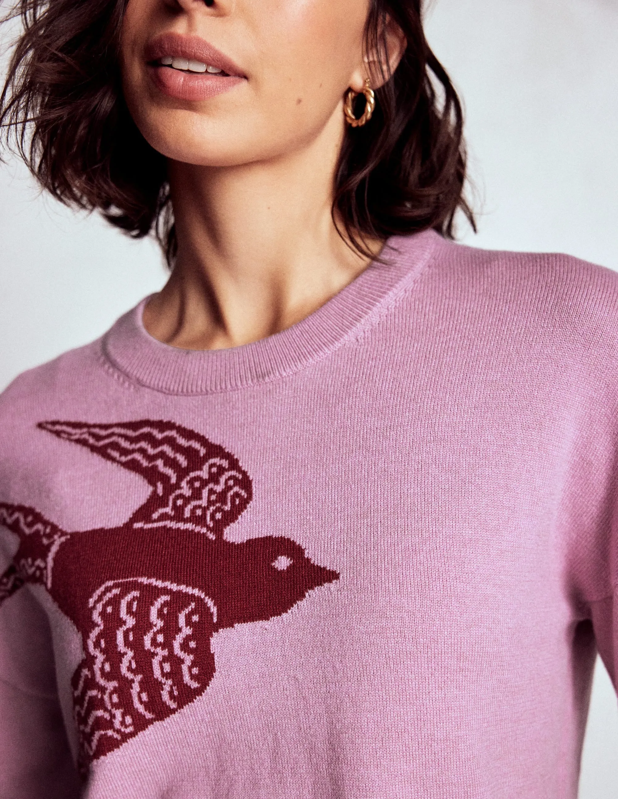 Natasha Novelty Jumper-Swooping Swallow Cold Comfort